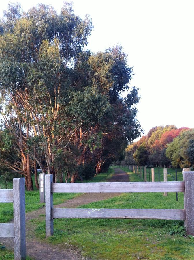 The Estate Koroit Boutique Hotel Esterno foto