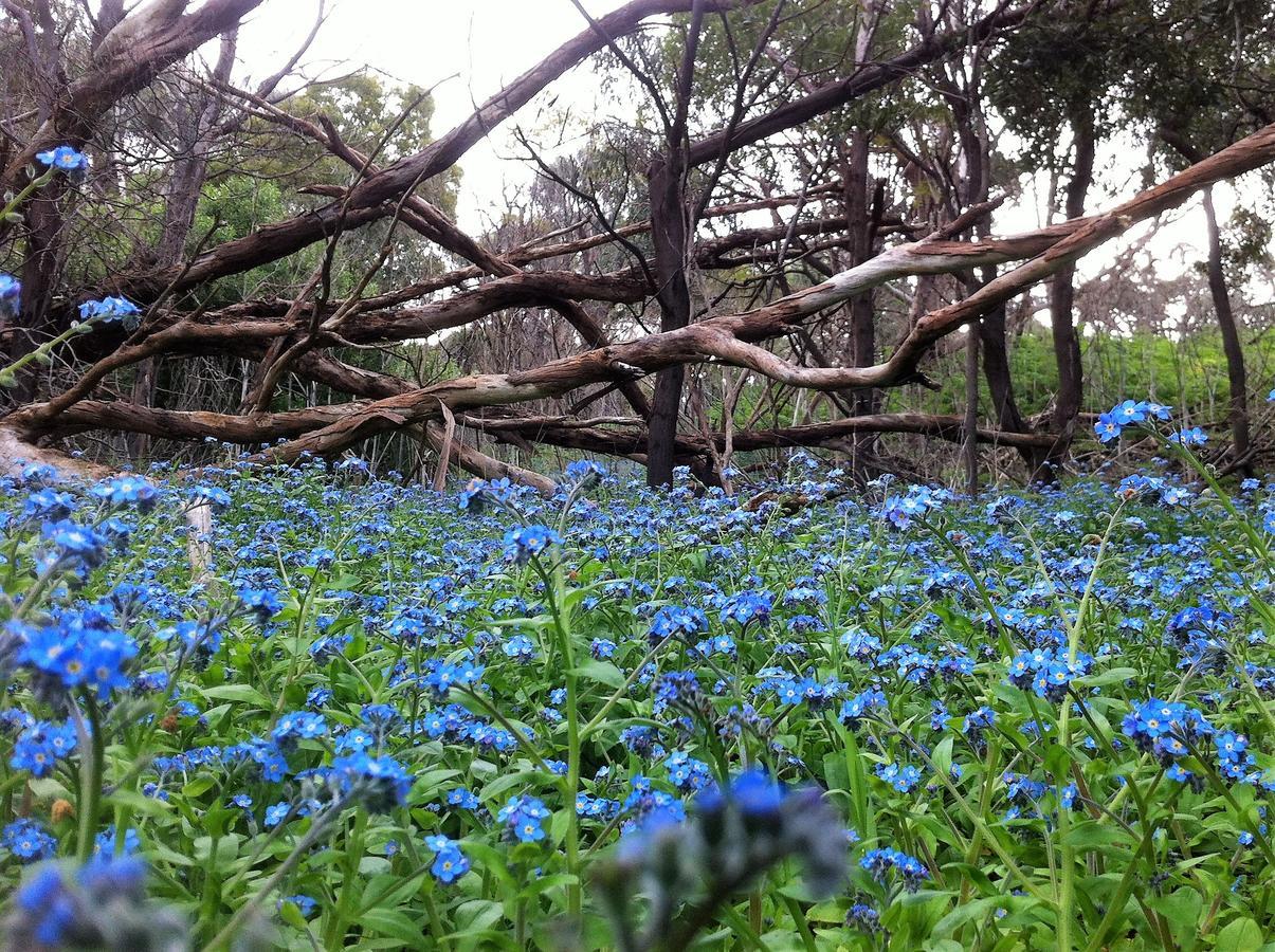 The Estate Koroit Boutique Hotel Esterno foto